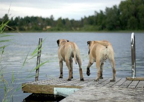 Topelius & Selma 020808